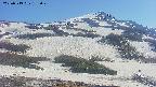 area2-20250513152030.jpg