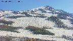 area2-20250513154031.jpg