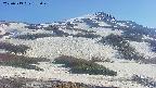 area2-20250513155030.jpg