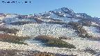 area2-20250513171032.jpg