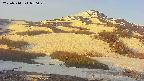 area2-20250514050029.jpg