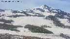 area2-20250514121031.jpg