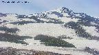 area2-20250514124030.jpg