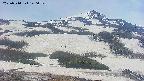 area2-20250514140031.jpg