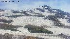 area2-20250514153031.jpg
