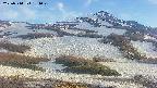 area2-20250514174030.jpg