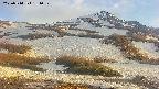 area2-20250514181031.jpg