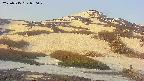 area2-20250515050030.jpg