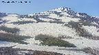 area2-20250515070032.jpg