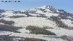 area2-20250515071029.jpg
