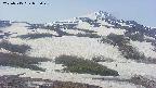 area2-20250515075029.jpg