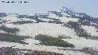 area2-20250515081029.jpg