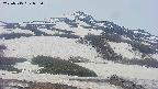 area2-20250515095034.jpg