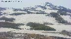 area2-20250515105032.jpg