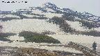 area2-20250515111034.jpg
