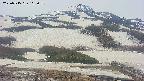 area2-20250515112034.jpg