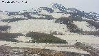 area2-20250515115034.jpg