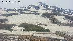area2-20250515120034.jpg