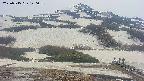 area2-20250515140034.jpg