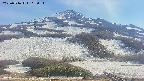 area2-20250516162035.jpg