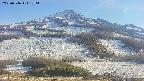 area2-20250516170034.jpg