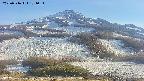 area2-20250516171032.jpg