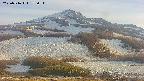 area2-20250516175035.jpg
