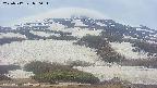 area2-20250517050035.jpg