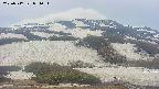 area2-20250517054034.jpg