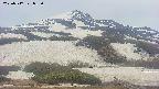 area2-20250517055034.jpg