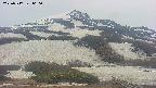 area2-20250517060035.jpg