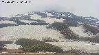 area2-20250517062035.jpg