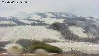 area2-20250517070036.jpg
