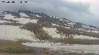 area2-20250518050034.jpg