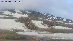 area2-20250518053032.jpg