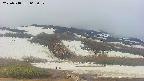 area2-20250518062033.jpg