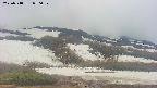 area2-20250518070033.jpg