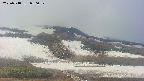 area2-20250518080037.jpg