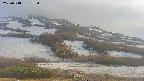 area2-20250518172036.jpg
