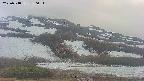 area2-20250518180032.jpg