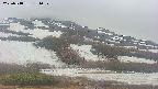 area2-20250518184032.jpg