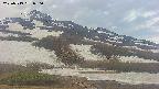 area2-20250519050034.jpg
