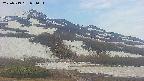 area2-20250519051034.jpg