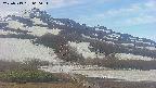 area2-20250519060035.jpg
