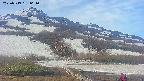 area2-20250519061033.jpg