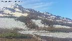 area2-20250519063033.jpg