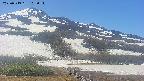 area2-20250519103035.jpg