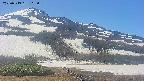 area2-20250519115036.jpg