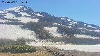area2-20250519142034.jpg