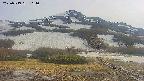 area2-20250519164033.jpg